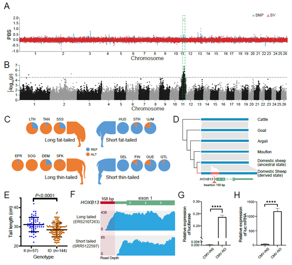 4ac3ff8f349c4ca2a7e2ca77223311c8.png image.png