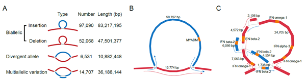 fe45b0134df64d68b72a0df7e89f651c.png image.png
