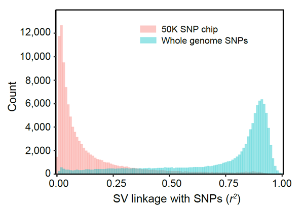 0b0b0adc45434ab8ad2ee632a2afe959.png image.png